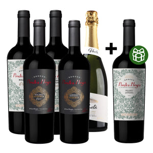 Combo Brindá con Piedra Negra + ¡Botella de REGALO!