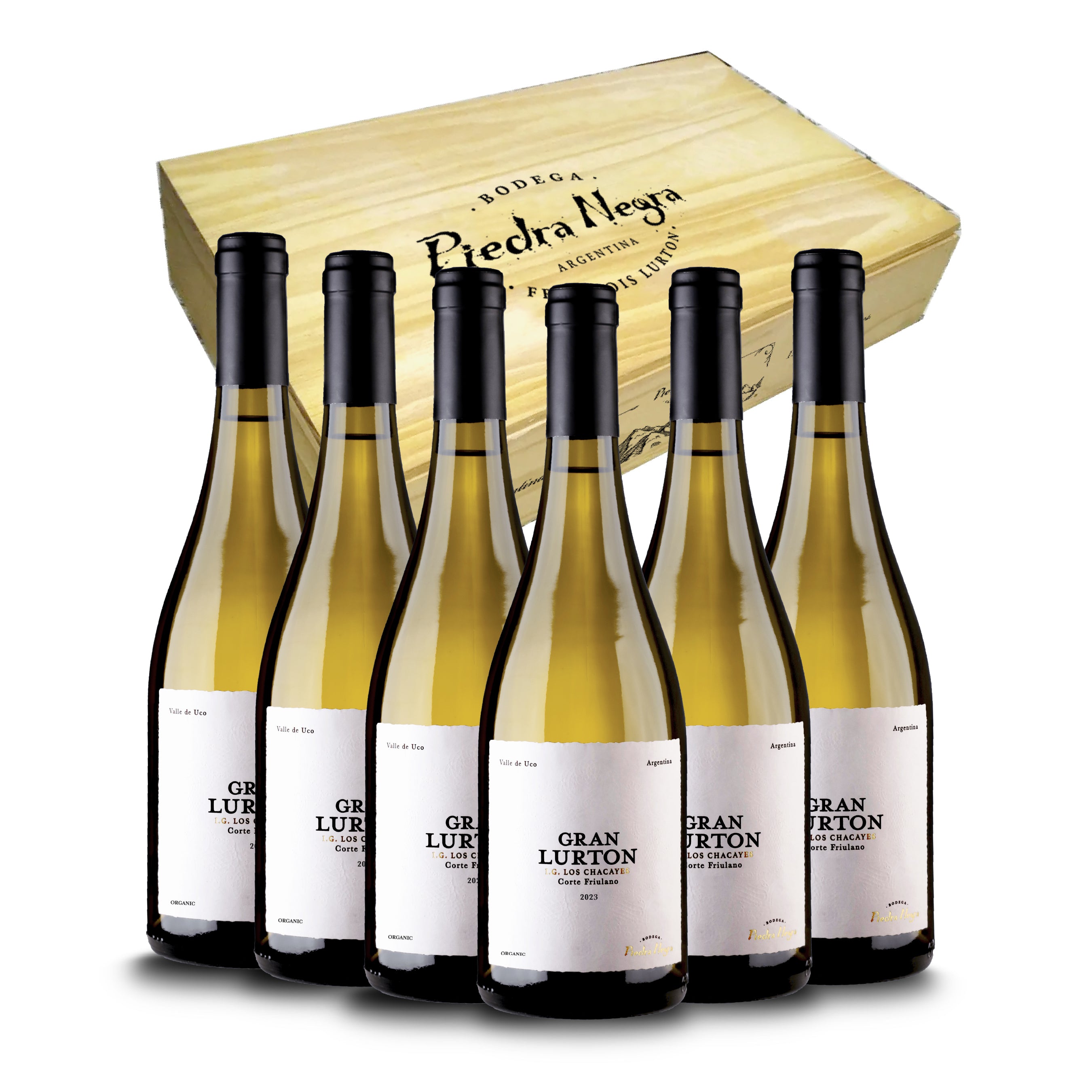 Vertical Gran Lurton corte Friulano