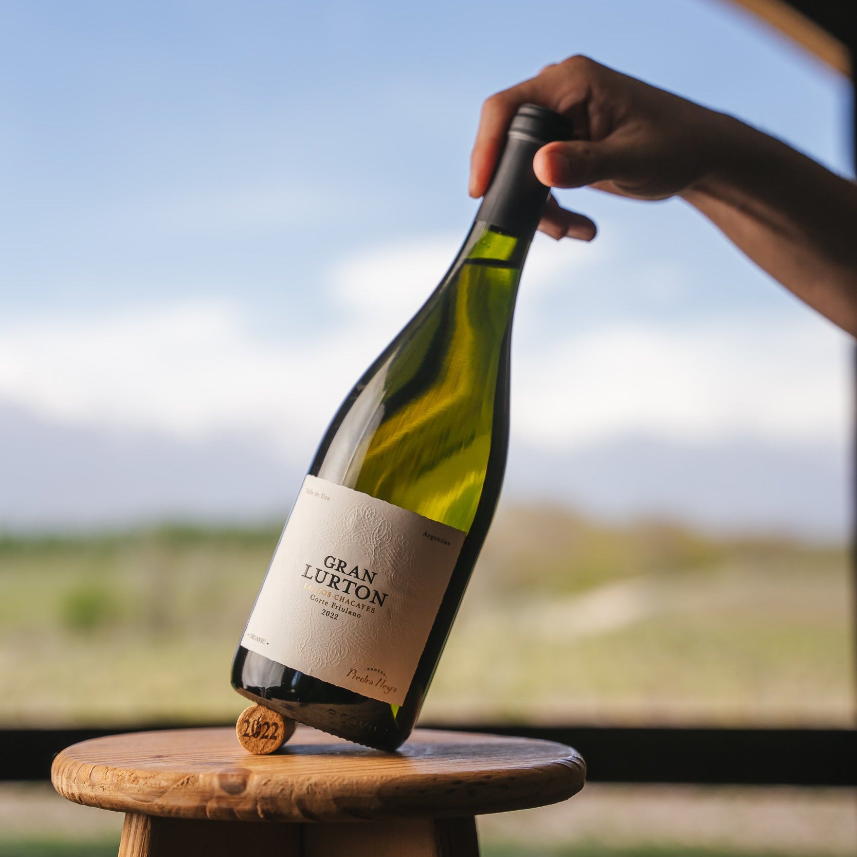 Gran Lurton blanco Corte Friulano
