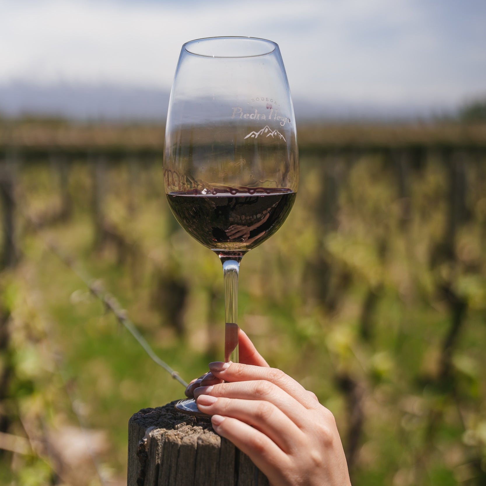 Cabernet Sauvignon Reserva