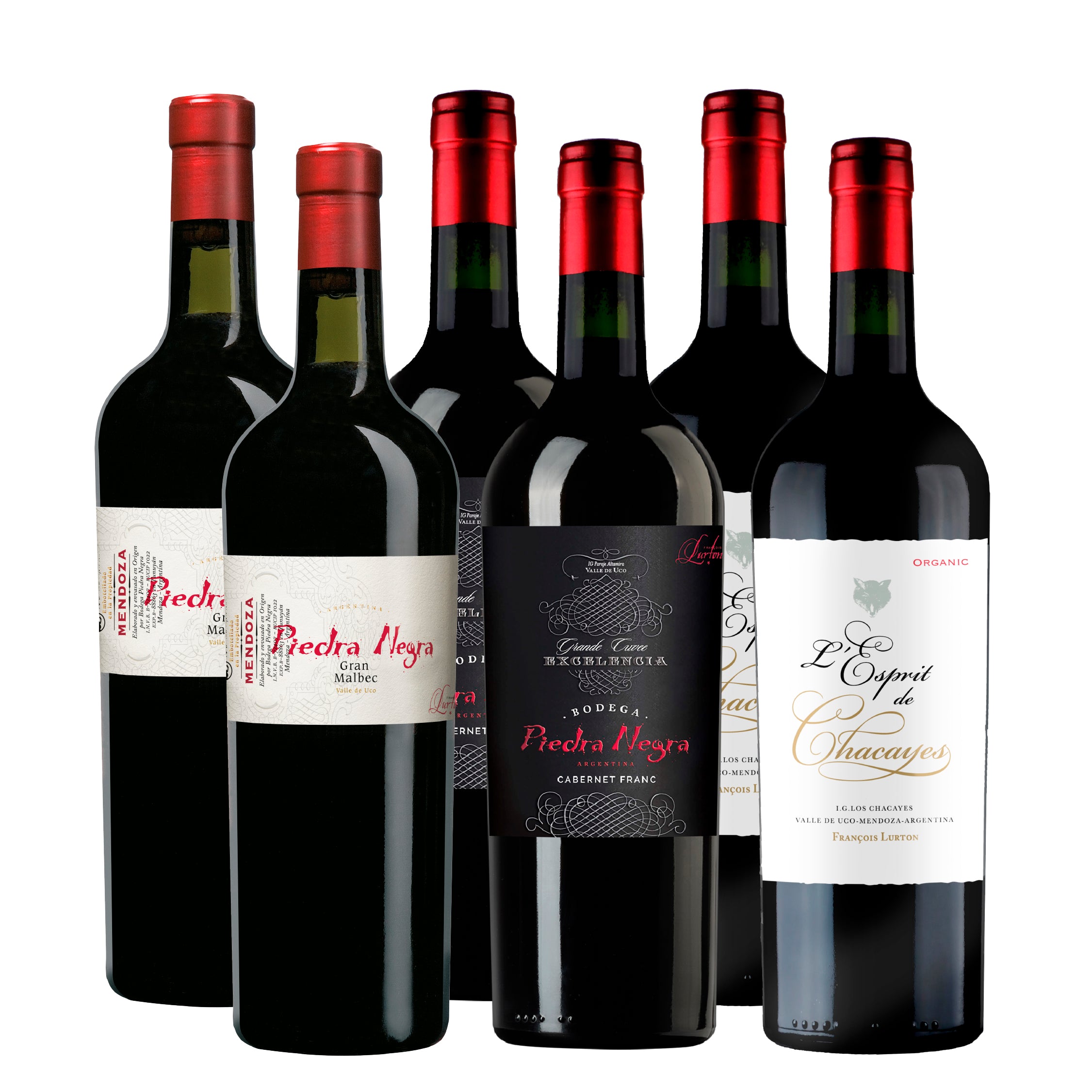 Box Malbec Premium x6