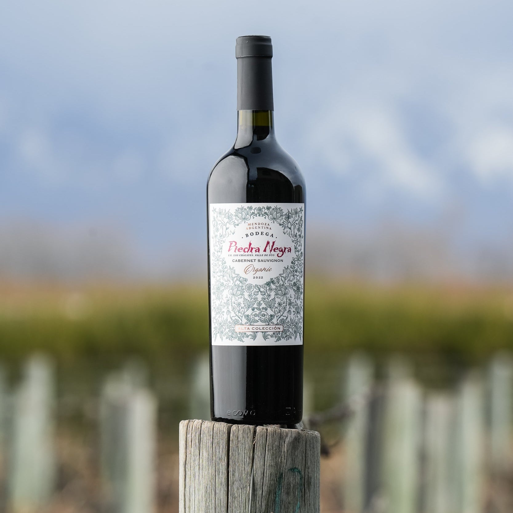 Cabernet Sauvignon Alta Colección
