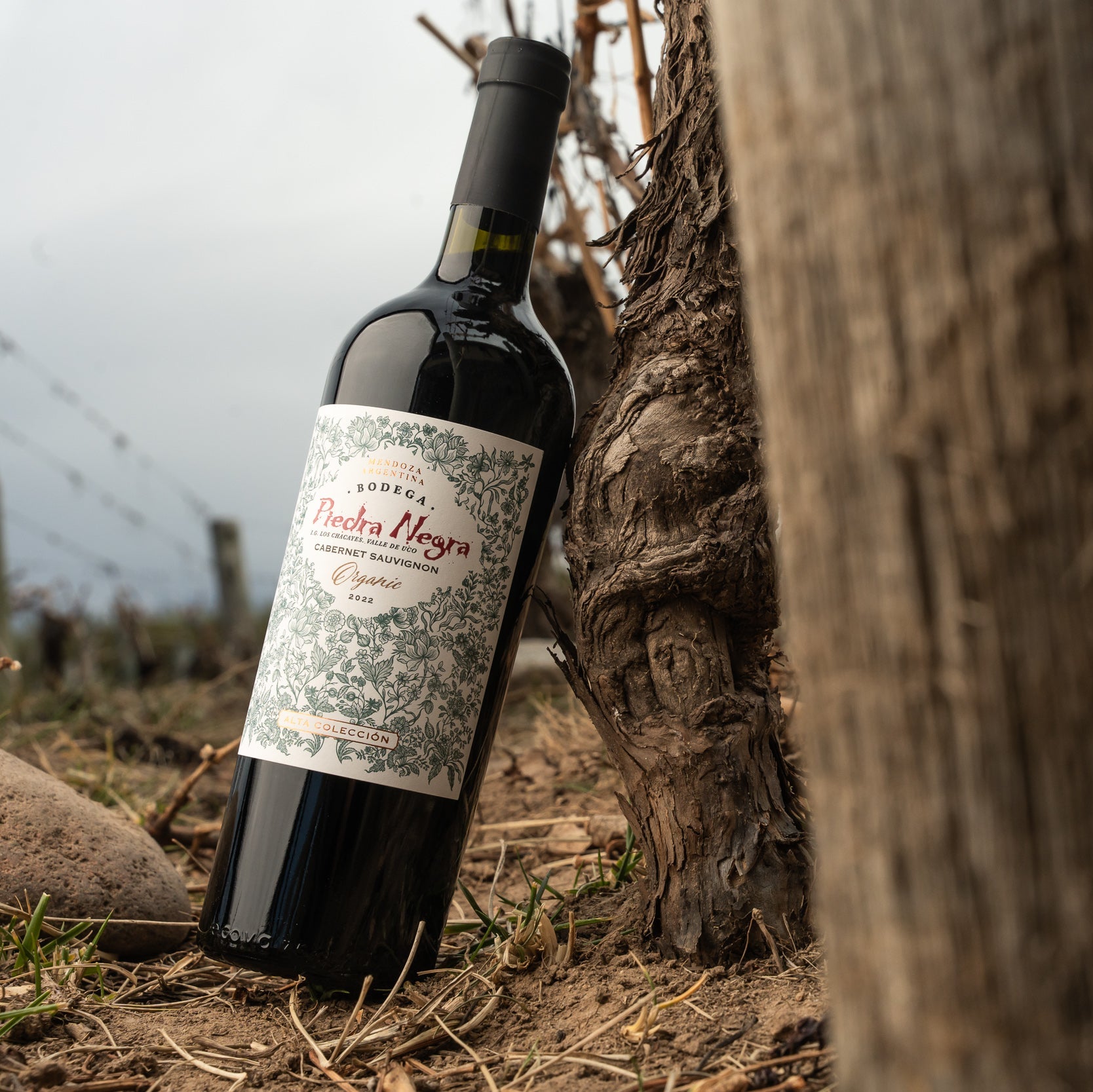 Cabernet Sauvignon Alta Colección