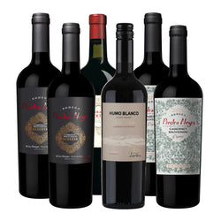 Selección Cabernet Sauvignon