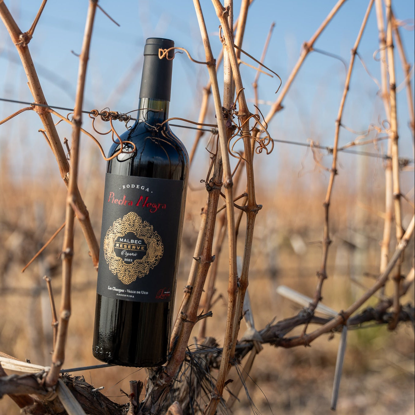 Malbec Reserva
