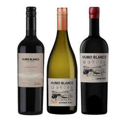 Selección Chile Varietal x3