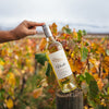 Cargar imagen en el visor de la galería, Vuelá Sauvignon Blanc
