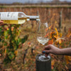 Cargar imagen en el visor de la galería, Vuelá Sauvignon Blanc

