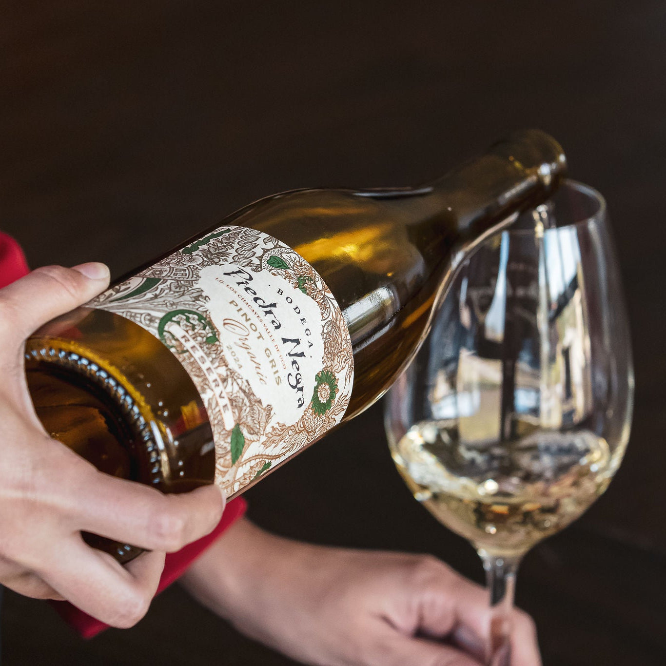 Pinot Gris Reserva